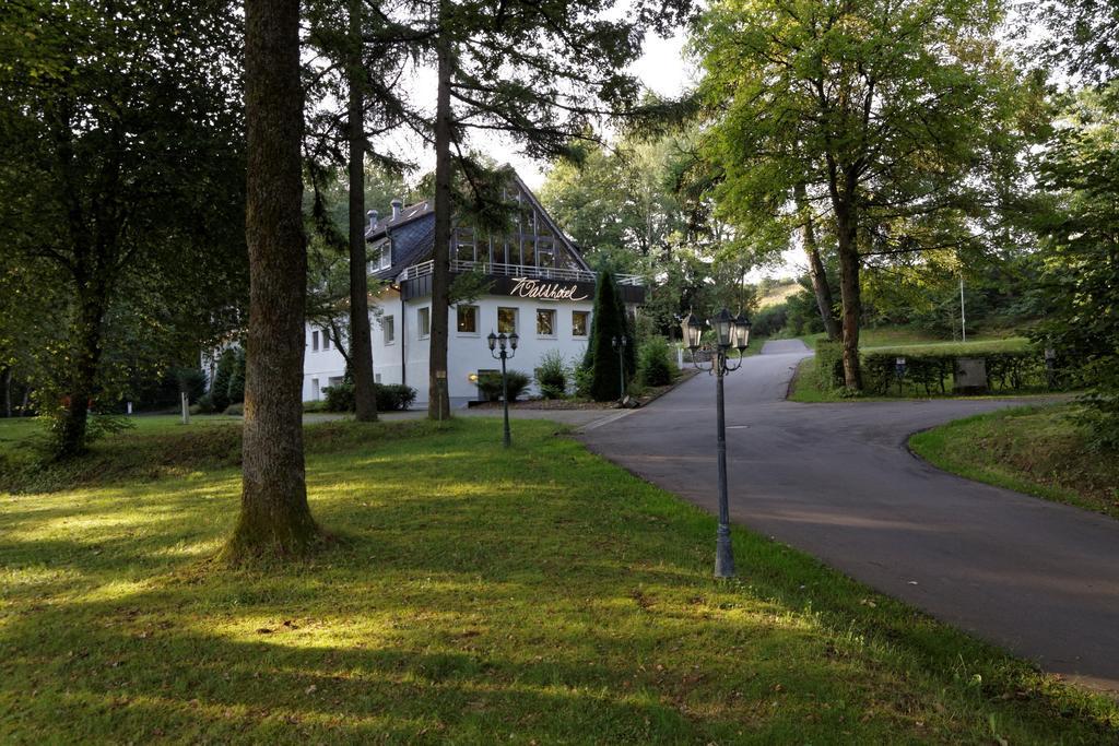 Waldhotel Wilhelmshoehe Фройденберг Экстерьер фото